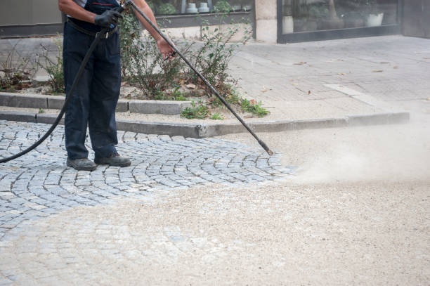 Best House Exterior Washing  in Clifton Gardens, NY