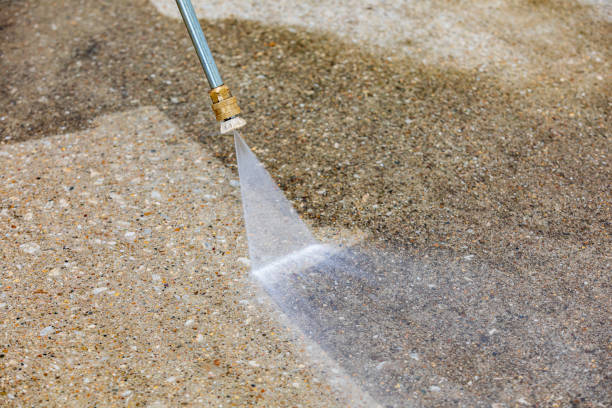 Pre-Holiday Cleaning in Clifton Gardens, NY